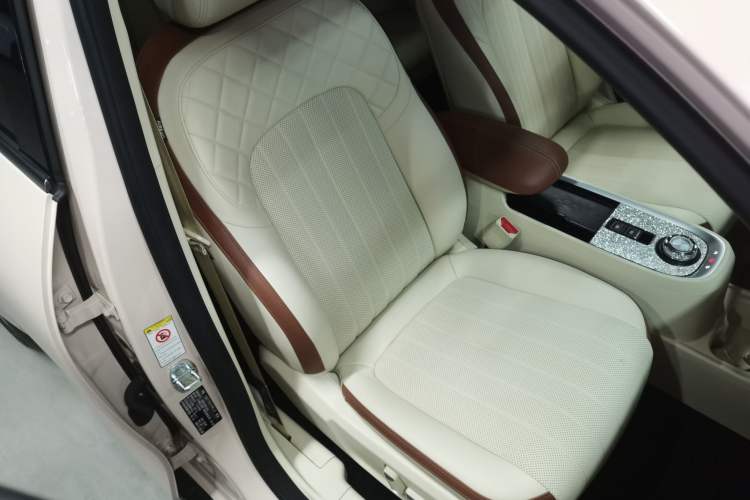 Used ORA Good Cat 2022 Morandi Edition 400km Standard Range Premium Version Lithium-Ion Battery
