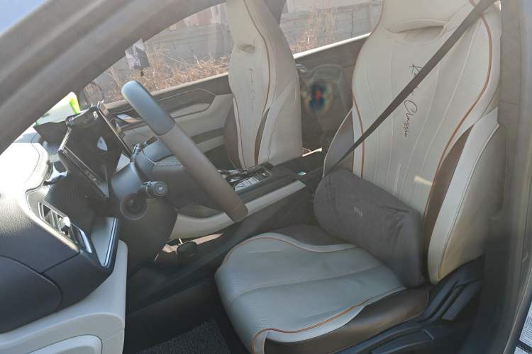 Used BYD Qin PLUS 2023 Champion Edition DM-i 120KM Leading Model Left Front Seat