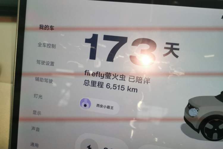 Used firefly firefly 2025 Illuminated Edition