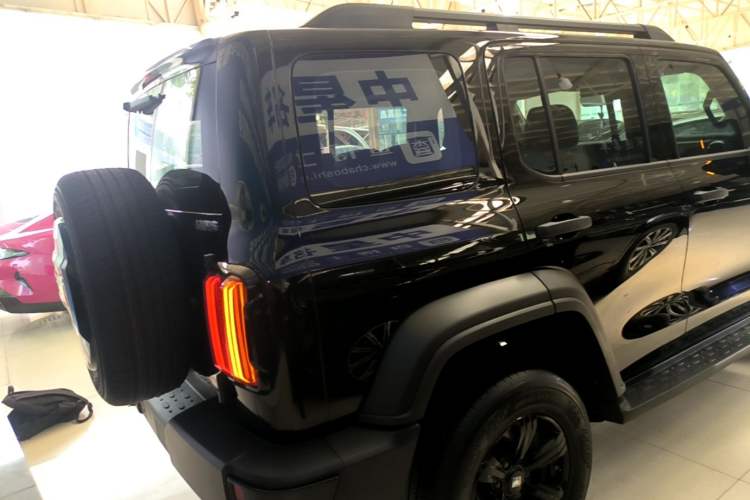 Used Tank 300 2024 2.0T Conqueror