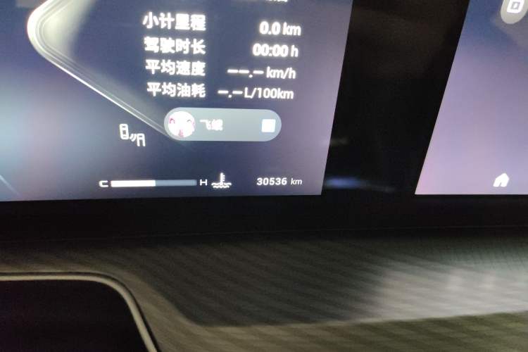 Used EXEED Lingyun 2024 300T Two-Wheel Drive Starlight Edition