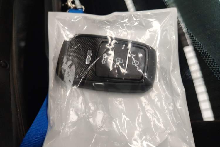 Used Toyota Wildlander 2022 2.0L CVT Two-Wheel Drive Luxury PLUS Edition
