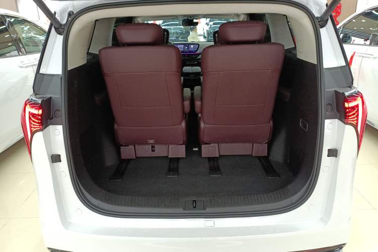 Used Buick Century 2023 2.0T Six-Seater Yinshi Edition