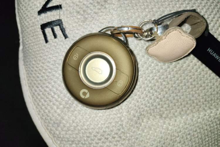 Used smart #1 2024 Platinum Edition