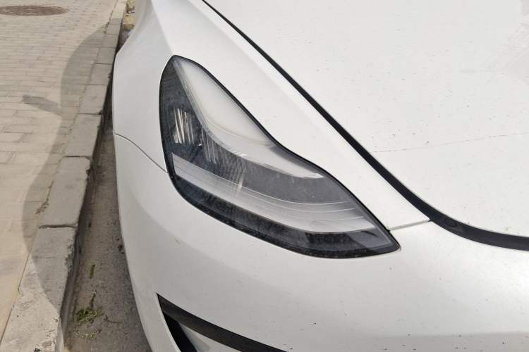 Used Tesla Model 3 2019 Standard Range Rear-Drive Upgraded Version