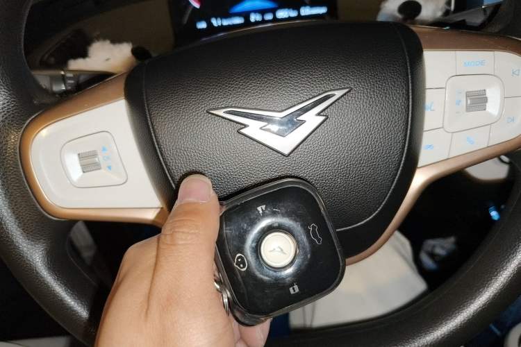 Used Cowin October 2023 201km Wave Rider Edition