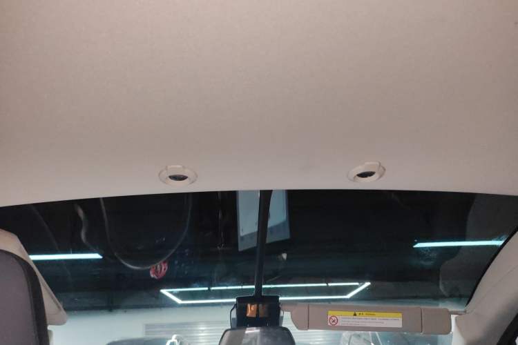 Used XPeng G3 2020 520 Smart Edition Headliner