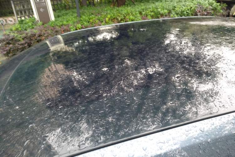 Used Polestar 2 2020 First Edition
