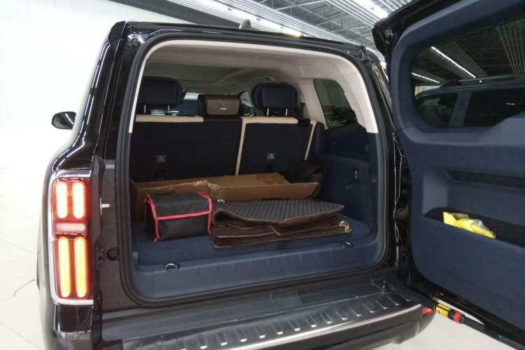 Used Tank 500 New Energy 2023 Hi4-T
