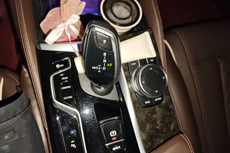 Used BMW 5 Series 2021 530Li xDrive Luxury Package Gear Lever