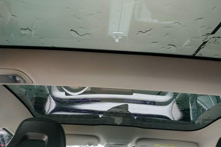 Used XPeng P7 2022 586G Headliner