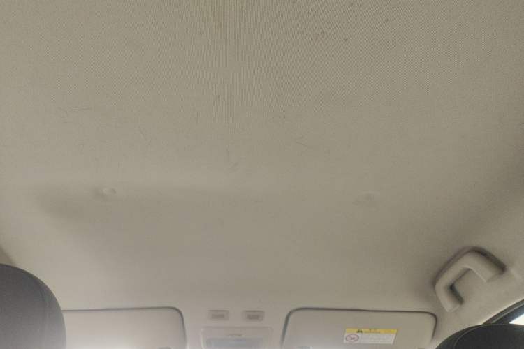 Used ORA Black Cat 2019 301km Standard Edition