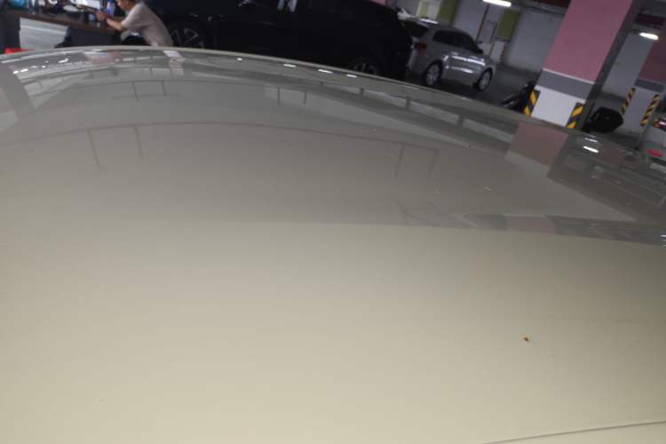 Used BYD Dolphin 2024 Honor Edition 420km Freedom Version Roof