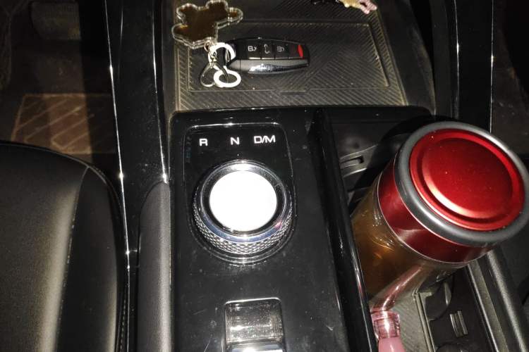 Used Haval H6 2021 3rd Generation 2.0T Automatic Two-Wheel Drive Max