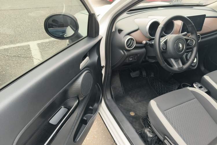 Used ORA Black Cat 2021 301km Cute Pet Edition Driver Seat