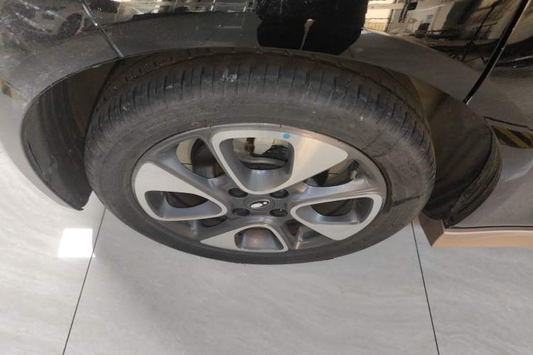 Used ORA White Cat 2022 Xiaoyue Mao Edition 360 km Luxury Model Lithium NMC
