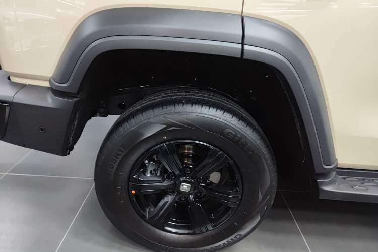 Used Tank 300 2025 2.0T Conqueror