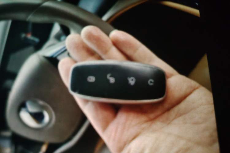 Used Denza D9 2022 DM-i 1040 Prestige Model Vehicle Key