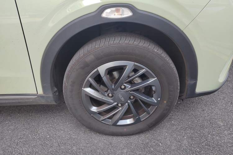 Used NETA AYA 2023 318 Lite