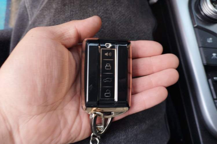 Used Tank 300 2021 Off-Road Edition 2.0T Challenger