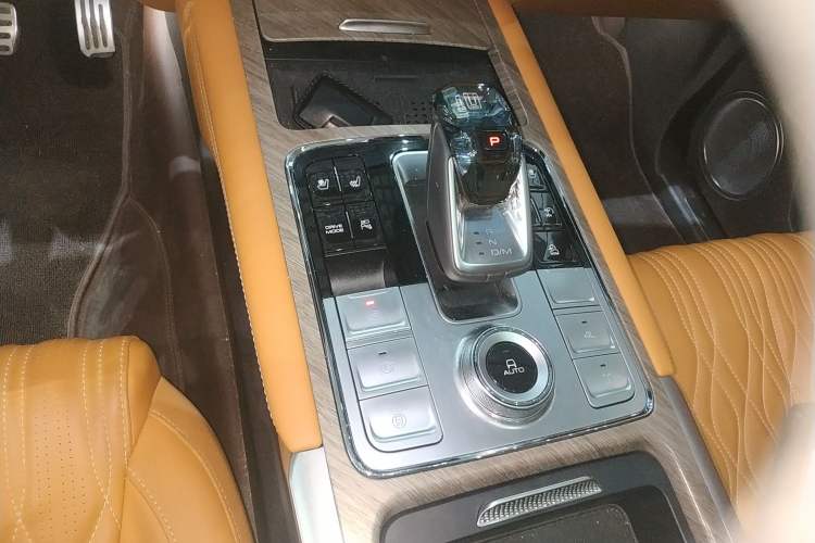 Used Tank 500 New Energy 2024 Hi4-T Gear Lever