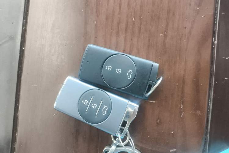 Used EXEED TX 2020 1.6T Two-Wheel Drive Star Edition