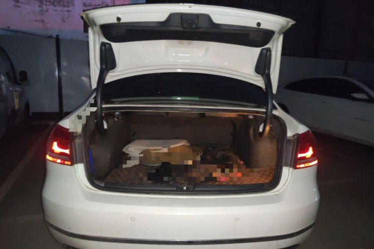 Used Volkswagen Passat 2013 2.0 TSI DSG Ultimate Edition Trunk