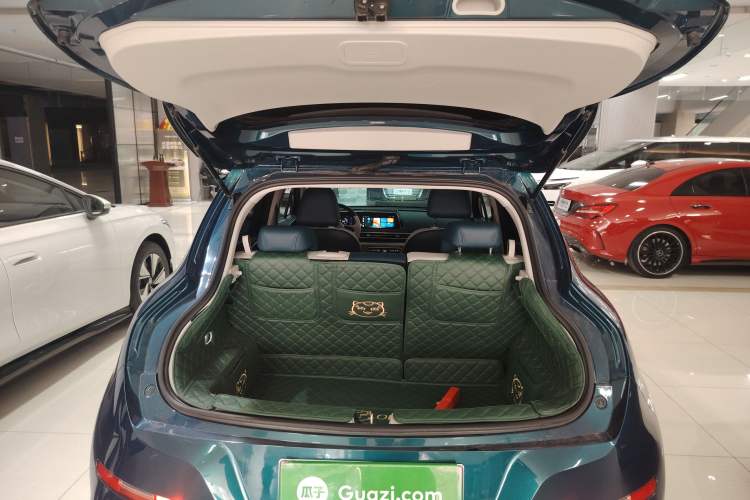 Used ORA Good Cat 2023 401 km Standard Range Luxury Version Lithium Iron Phosphate