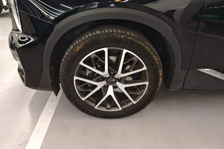 Used GAC Trumpchi GS8 2022 Linghang Series 2.0 TGDI Two-Wheel-Drive Luxury Smart Connectivity Version (7 Seats)
