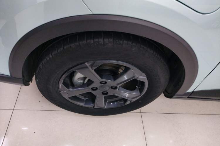 Used Geometry E Firefly 2024 401 km Fluorescent