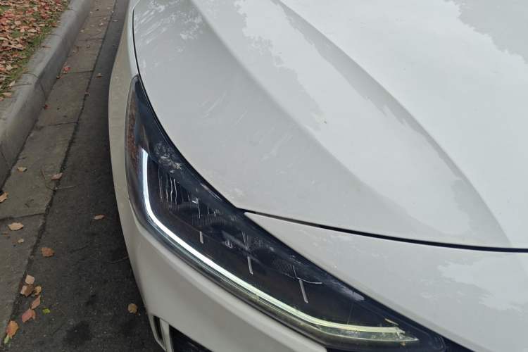 Used Ford Focus 2022 Sedan EcoBoost 180 Automatic Performance Edition Right Front Headlight