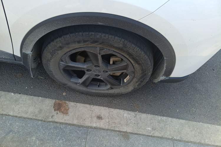 Used Geometry E Firefly 2023 401KM Linglong Tiger 5-Seater
