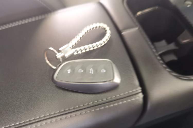 Used Haval H Dog New Energy 2024 Hi4 102km Trend Electric Version Plus