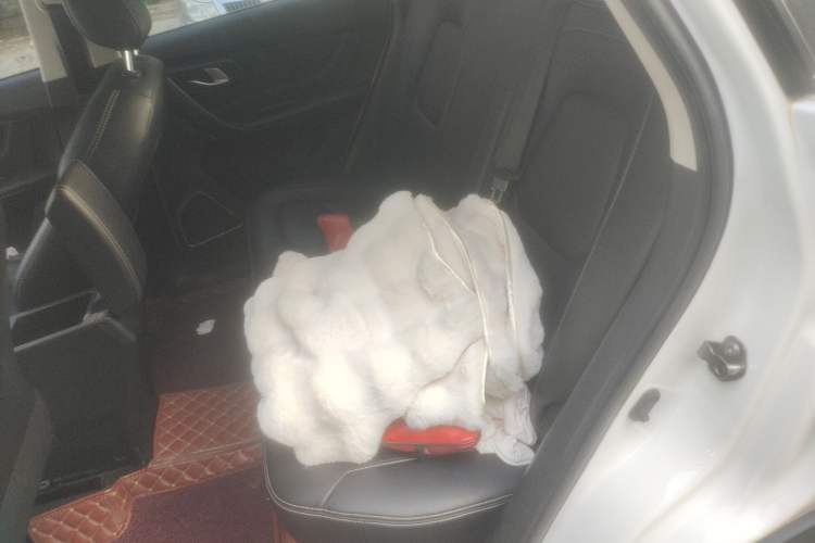 Used Bestune X40 2018 Internet Celebrity Edition 1.6L Automatic Luxury Version