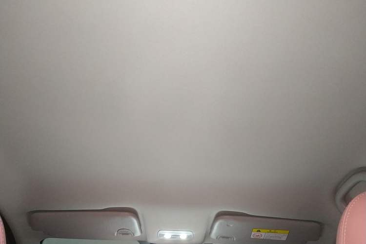 Used NETA V 2021 Witch Edition