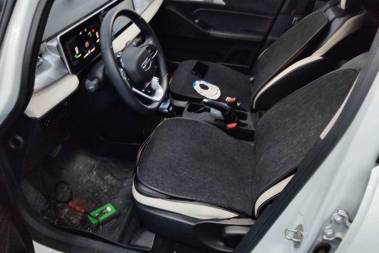 Used Geometry E Firefly 2022 320KM Cute Tiger 4-Seater
