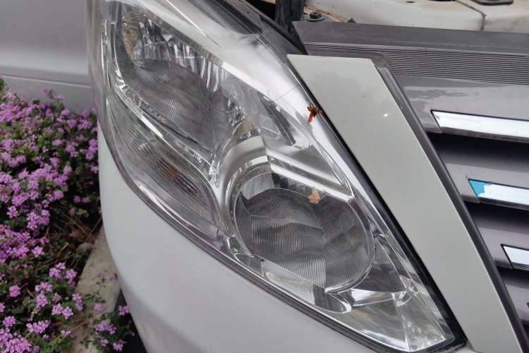 Used FORTHING Lingzhi PLUS 2021 2.0L Manual Standard Version CNG 7 Seats