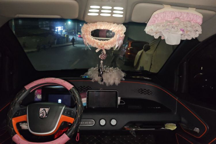 Used Baojun E100 2019 250KM Smart Drive Edition Headliner