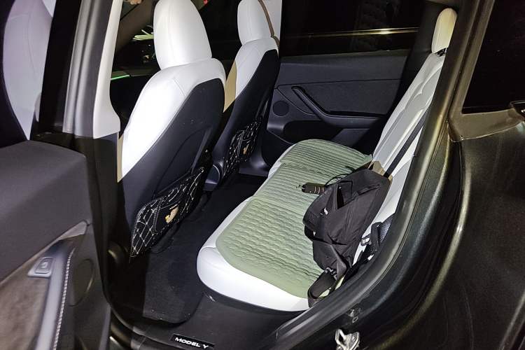 Used Tesla Model Y 2024 Rear-Wheel-Drive Version Left Rear Seat