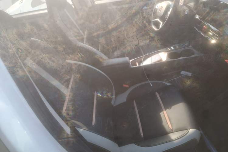 Used SOL E10X 2022 Flower Fairy Design Four-Leaf Clover