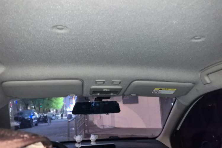 Used ORA Black Cat 2021 301 km Basic Version
