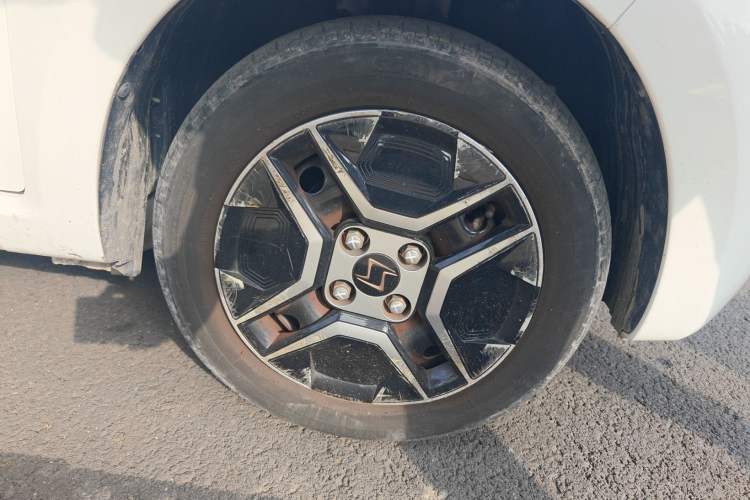 Used SOL E10X 2022 Flower Fairy Design Four-Leaf Clover