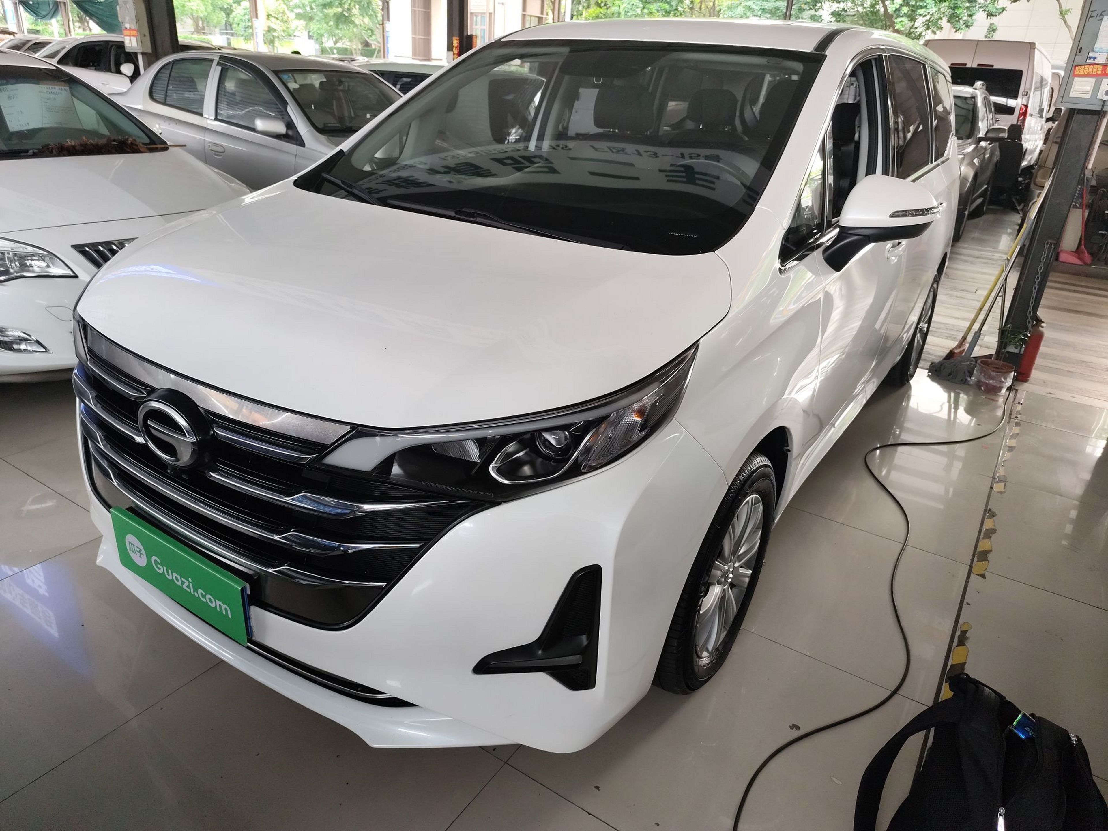 Parte inferior delantera