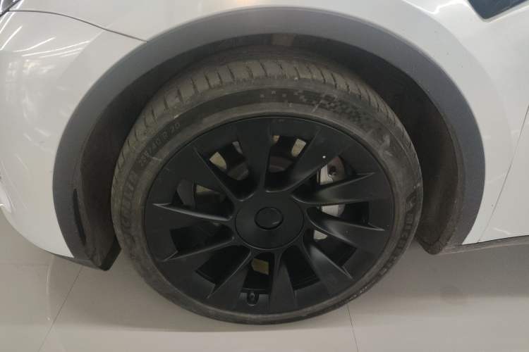 Used Tesla Model Y 2021 Standard Range Rear-Wheel Drive Version
