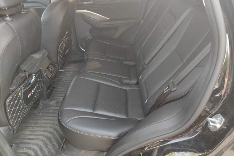 Used Wey VV6 2020 2.0T Two-Wheel Drive Smart Protection+ Left Rear Seat