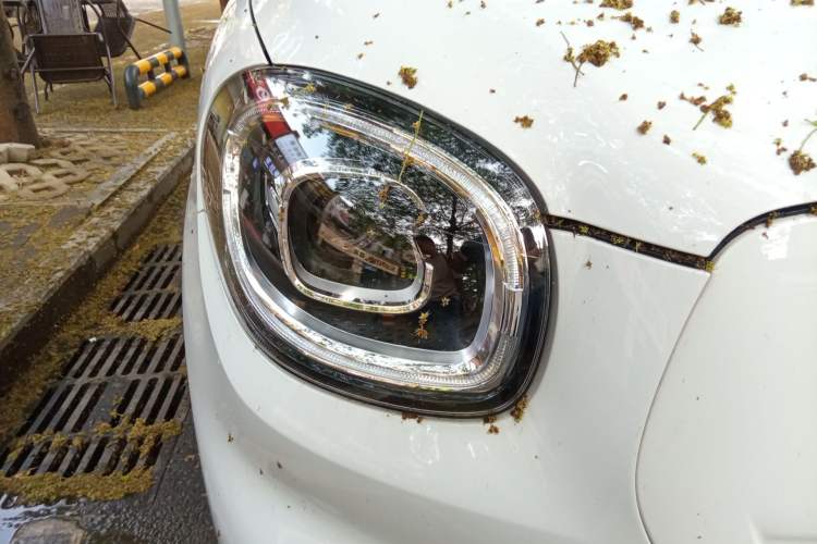 Used Leapmotor T03 2024 310 Comfort Edition
