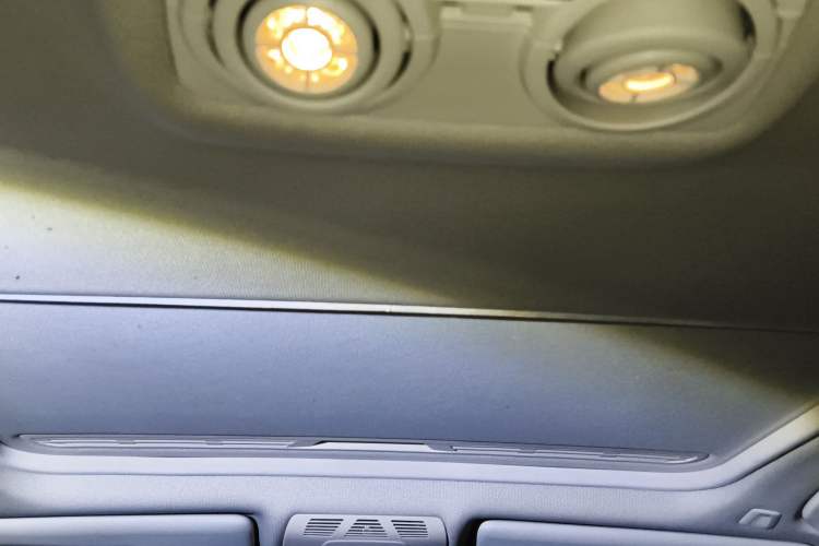 Used BMW 3 Series 2018 320Li Leading Model M Sport Package Headliner