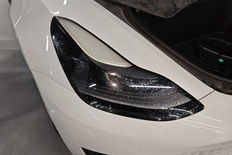 Used Tesla Model 3 2021 Standard Range Rear-Wheel Drive Upgraded Version 3D6