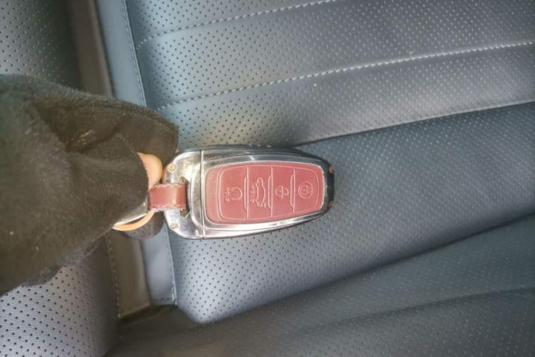 Used Hongqi H9 2022 2.0T Smart Connect Flagship Edition