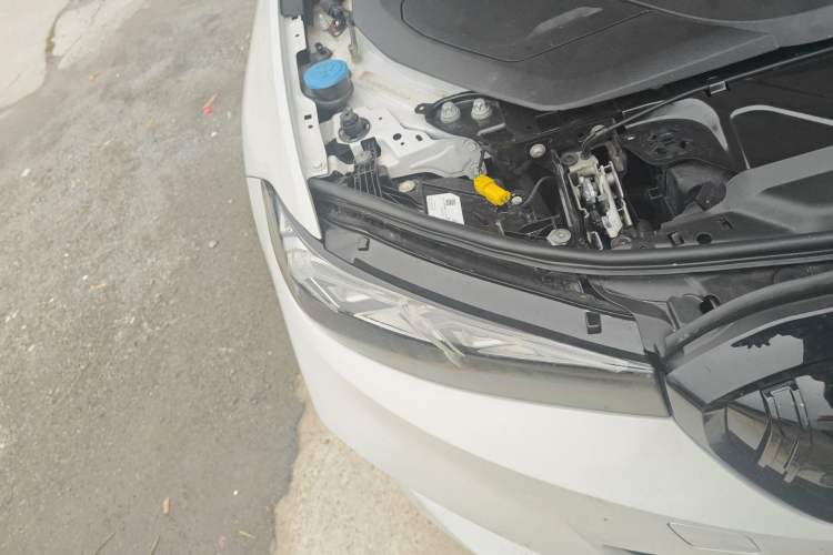 Used BMW i3 2024 eDrive 35 L
